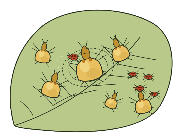 roofmijt illustratie